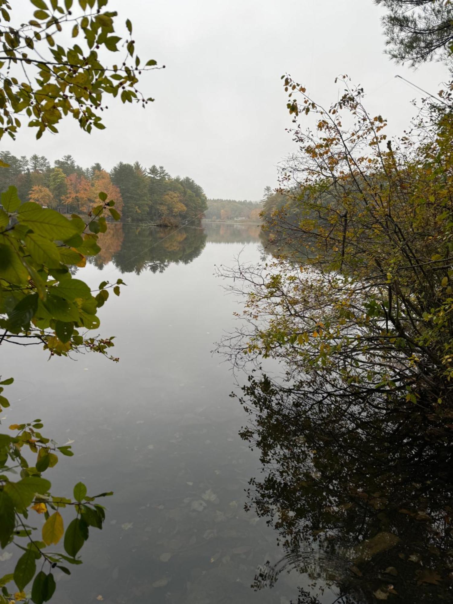 Hideaway Inn Maine Camden Dış mekan fotoğraf